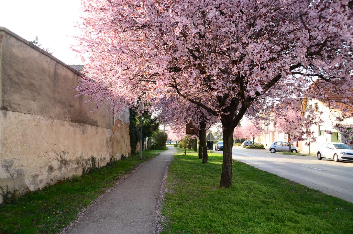 2014-03-28 16-10-11.JPG